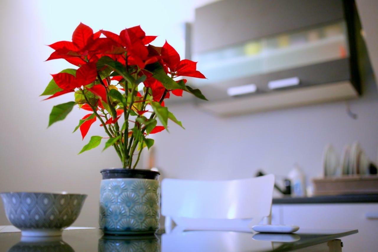 Studio Apartman - Park - Osijek Luaran gambar